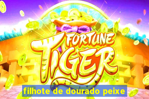 filhote de dourado peixe