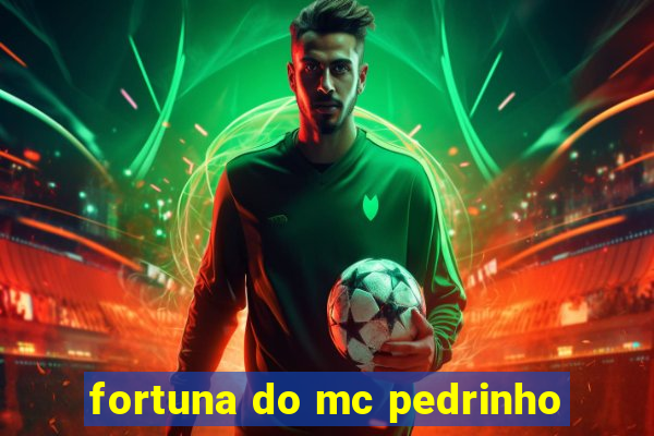 fortuna do mc pedrinho