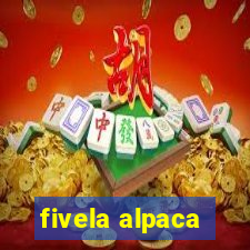 fivela alpaca