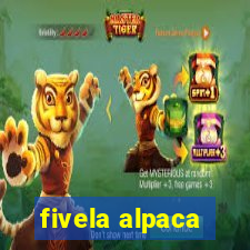 fivela alpaca