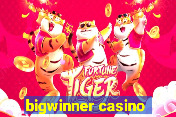 bigwinner casino