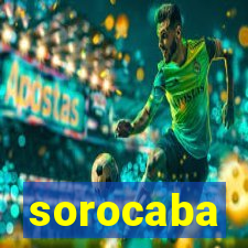 sorocaba popula莽茫o 2024