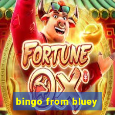 bingo from bluey