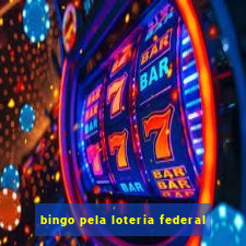 bingo pela loteria federal