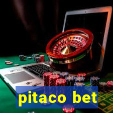 pitaco bet