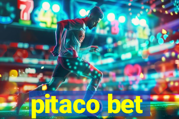 pitaco bet