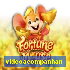 videoacompanhante