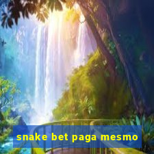 snake bet paga mesmo