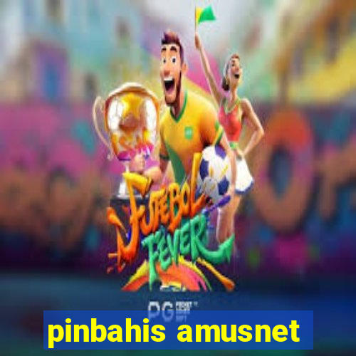 pinbahis amusnet