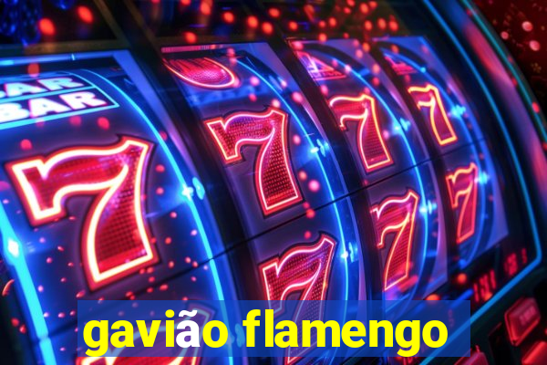 gavião flamengo