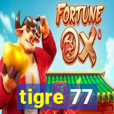 tigre 77