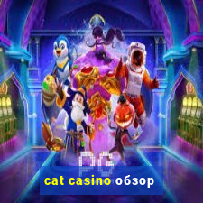 cat casino обзор