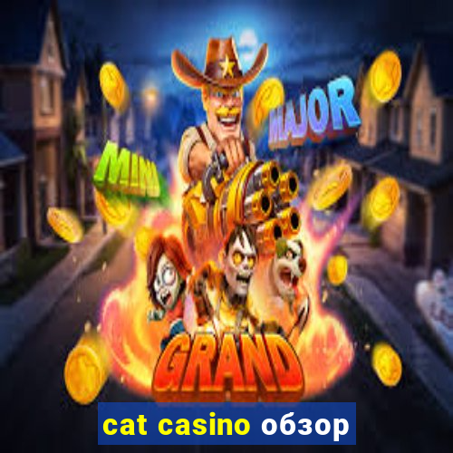 cat casino обзор