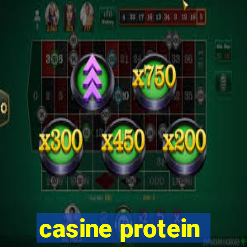 casine protein