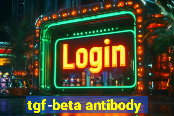 tgf-beta antibody