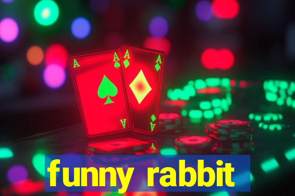 funny rabbit