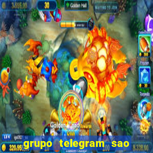 grupo telegram sao jose do rio preto