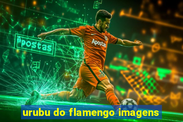 urubu do flamengo imagens