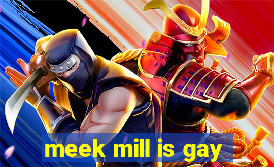 meek mill is gay