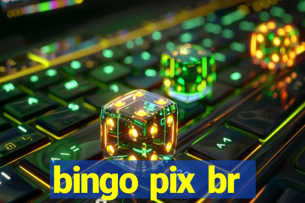 bingo pix br