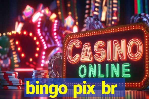 bingo pix br