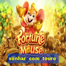 sonhar com touro mega sena