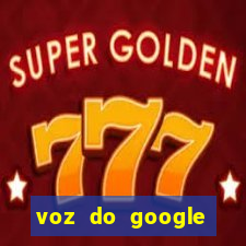 voz do google tradutor homem