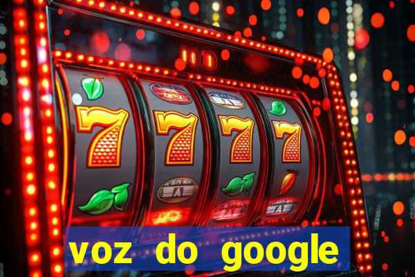 voz do google tradutor homem