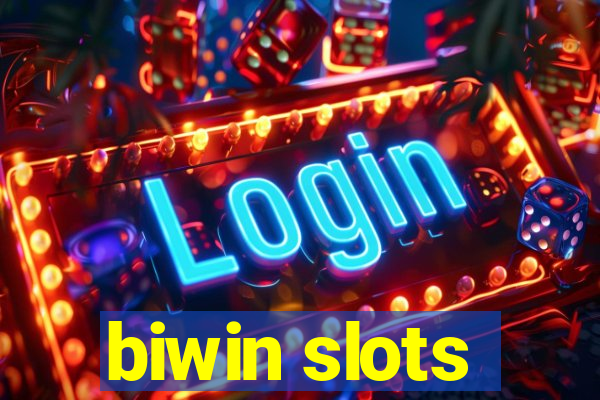 biwin slots