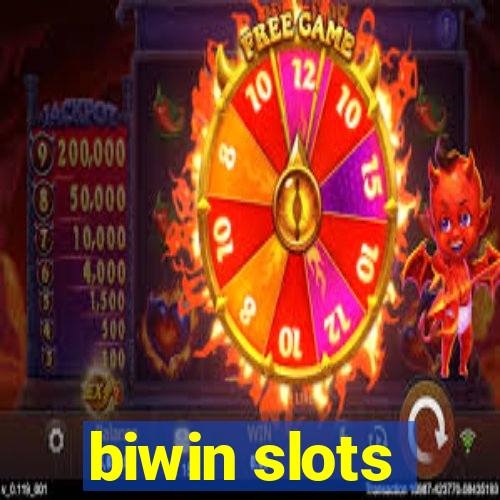 biwin slots