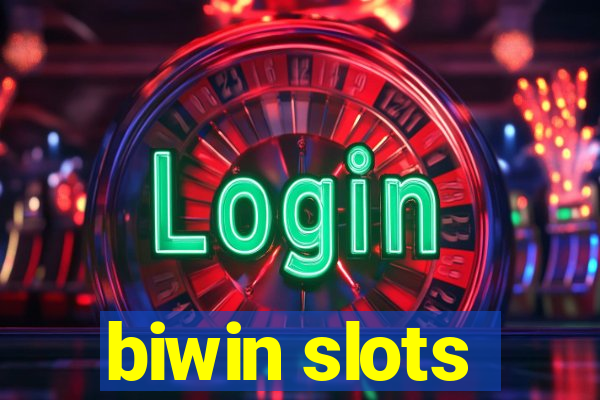 biwin slots