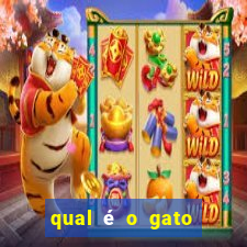 qual é o gato mais feio