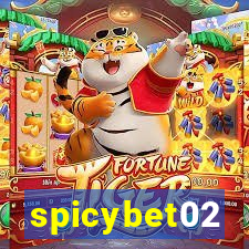 spicybet02