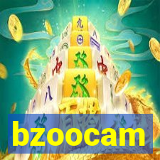 bzoocam