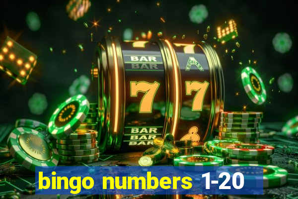 bingo numbers 1-20