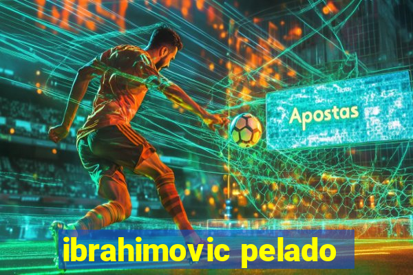 ibrahimovic pelado