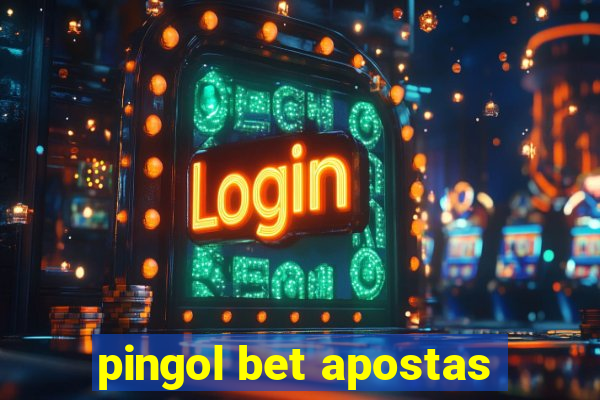 pingol bet apostas