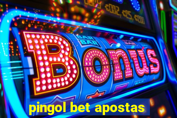 pingol bet apostas