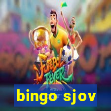 bingo sjov