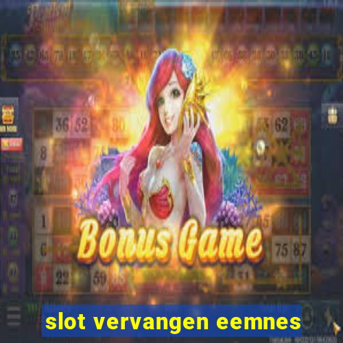 slot vervangen eemnes