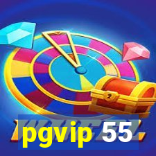 pgvip 55