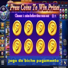 jogo do bicho pagamento