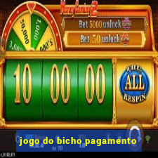 jogo do bicho pagamento