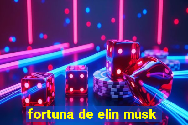 fortuna de elin musk