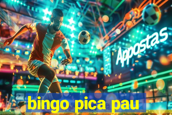 bingo pica pau