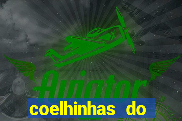 coelhinhas do brasil acompanhantes