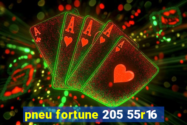 pneu fortune 205 55r16