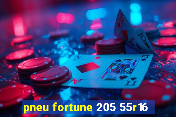 pneu fortune 205 55r16