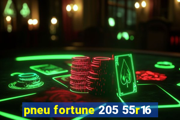 pneu fortune 205 55r16