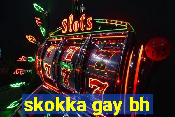 skokka gay bh